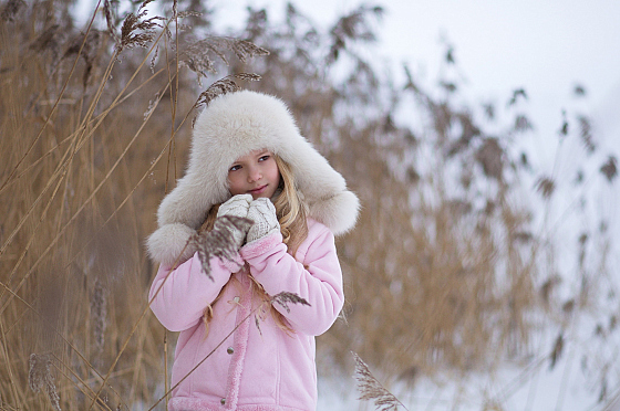 Фотограф Алиса Хмелевская, фотография добавлена 21.02.2018