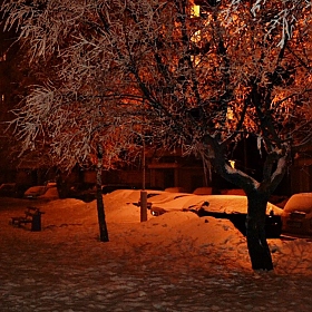 фотограф Надежда Войтешонок. Фотография "Зимнее утро в Минском дворике."