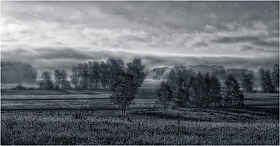 Летние туманы над Свислочью | Фотограф Сергей Шабуневич | foto.by фото.бай