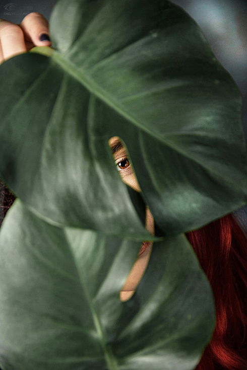 Фотограф Кирилл Емельянов, фотография добавлена 26.09.2018