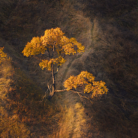 Светлячки | Фотограф Ольга Максимова | foto.by фото.бай