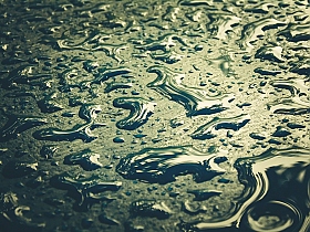 after rain | Фотограф Елизавета Логвинова | foto.by фото.бай
