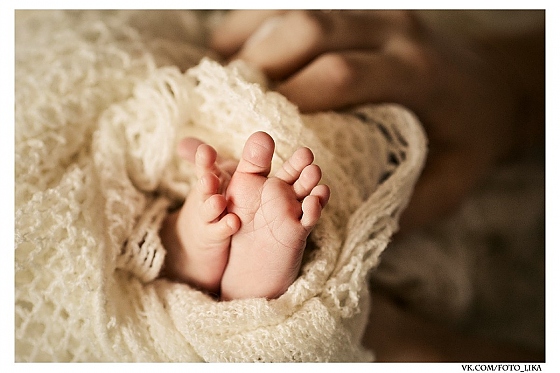 Анжелика Грекович - фотограф в городе Минск, фотография добавлена 28.02.2016