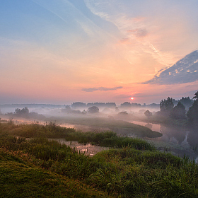 туманным утром | Фотограф Виталий Полуэктов | foto.by фото.бай