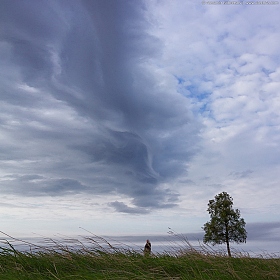 Июньский ветер | Фотограф Александр Бобрецов | foto.by фото.бай