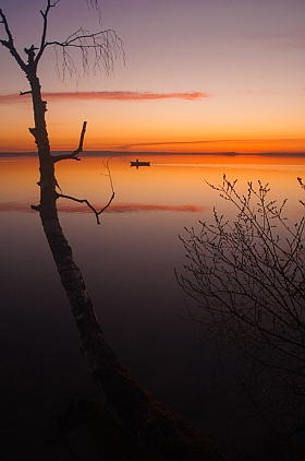 Утро у воды | Фотограф Андрей Величкевич | foto.by фото.бай