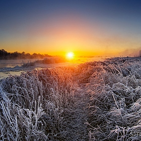 фотограф Стас Аврамчик. Фотография "Морозным зимним утром"
