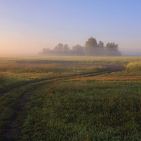 Утренний туман. | Фотограф Mihail | foto.by фото.бай