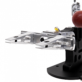 Работа фотографа Анастасия Комок