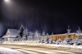 ... и падал снег | Фотограф Юлия Кранина | foto.by фото.бай