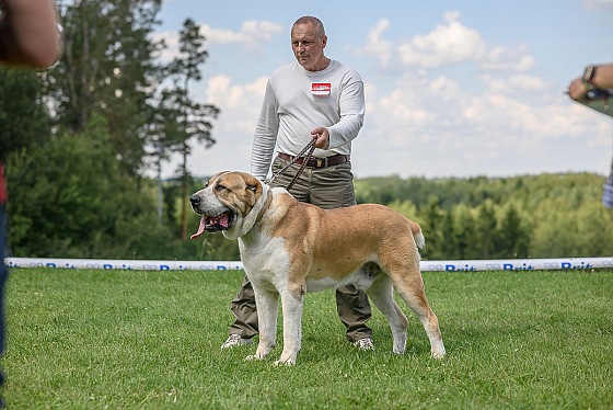 Фотограф Сергей Клеменок, фотография добавлена 17.02.2026