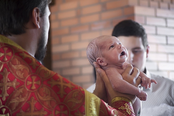 Фотограф Лариса Волкова, фотография добавлена 16.06.2016
