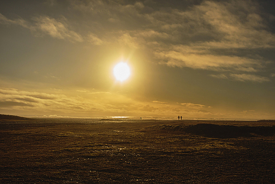 Алена Табола - фотограф в городе Минск, фотография добавлена 19.04.2018