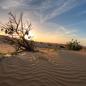 фотограф Alex Acode. Фотография "Пустыня"
