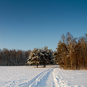 фотограф Геннадий Ignashevich. Фотография "На зимней прогулке"