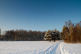 На зимней прогулке | Фотограф Геннадий Ignashevich | foto.by фото.бай