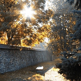 Осеннее солнце | Фотограф Саша Бори | foto.by фото.бай