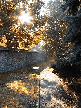 Осеннее солнце | Фотограф Саша Бори | foto.by фото.бай