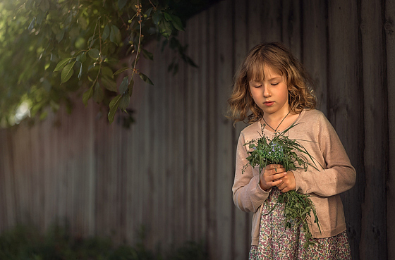 Алена Кисель - фотограф, фотография добавлена 04.08.2019