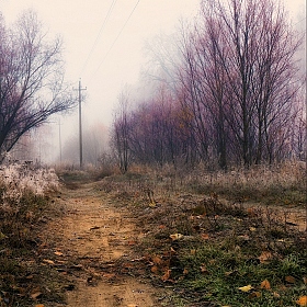 Ушедший ноябрь | Фотограф Александр Чиж | foto.by фото.бай