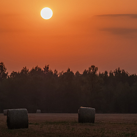 На скошенном лугу | foto.by фото.бай