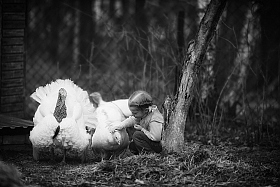Девочка и индюки | Фотограф Юлия Войнич | foto.by фото.бай