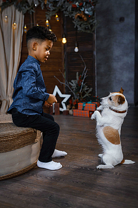 Работа фотографа Надежда Володько