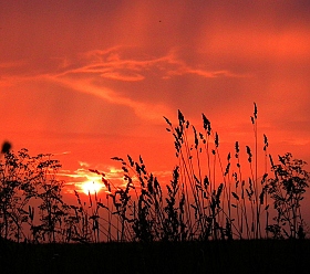 Красный закат | Фотограф Михаил Берлежский | foto.by фото.бай