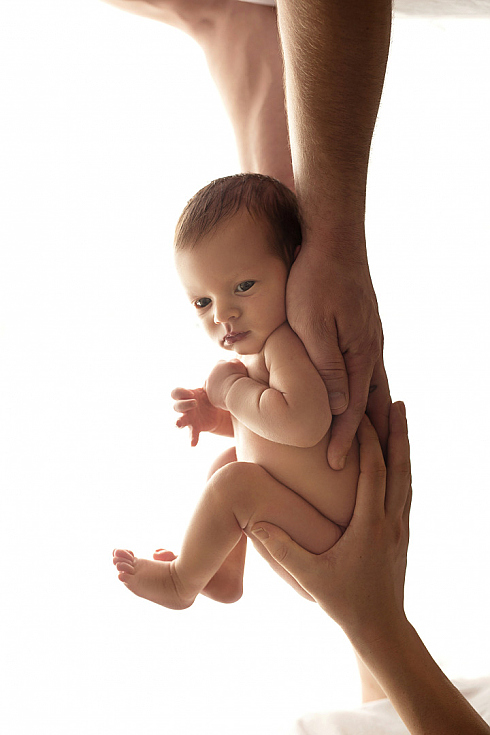 Елена Прищепа - фотограф в городе Минск, фотография добавлена 02.11.2025