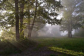 Туман | Фотограф владимир иванов | foto.by фото.бай