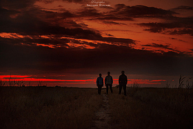 закат в степи... | Фотограф Виктория Шувалова | foto.by фото.бай
