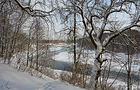 Зимний день | Фотограф Aleksandr Yarmush | foto.by фото.бай