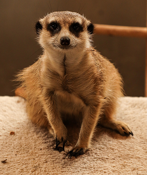 Фотограф Алексей Климков, фотография добавлена 06.11.2025