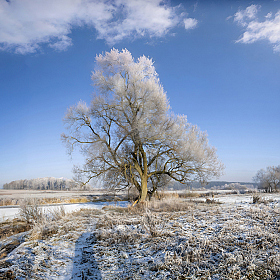Про день на Свислоче | Фотограф Сергей Шабуневич | foto.by фото.бай