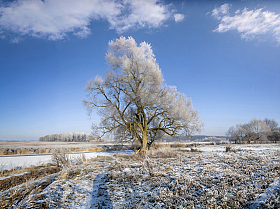 Про день на Свислоче | Фотограф Сергей Шабуневич | foto.by фото.бай