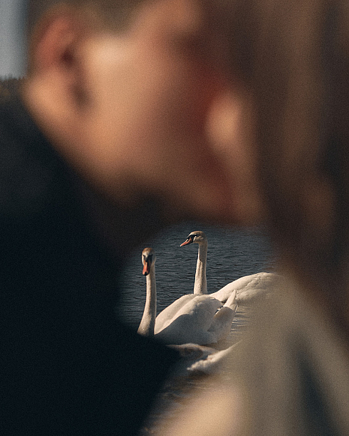 Лилия Камарова - фотограф в городе Минск, фотография добавлена 27.04.2020