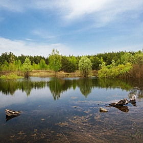 фотограф Александр Удовиченко. Фотография "Тихий омут лесного разлива"