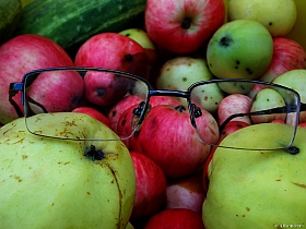 Умные яблоки | Фотограф Елена Ситник | foto.by фото.бай
