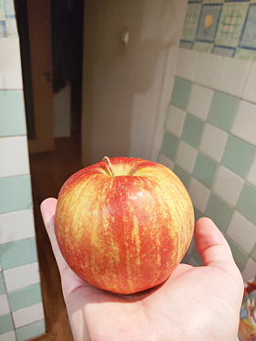 Яблоко в руке бога. | Фотограф kanami | foto.by фото.бай