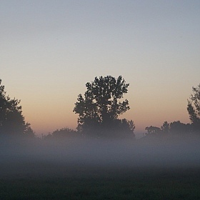 фотограф Евгений Воронюк. Фотография "Туман. Вечер"