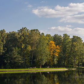 фотограф Andrei Savitsky. Фотография "***"