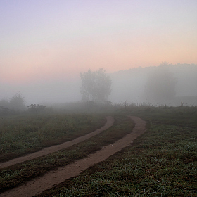 Дорога к реке | Фотограф Сергей Шабуневич | foto.by фото.бай