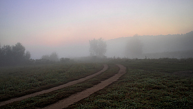 Дорога к реке | Фотограф Сергей Шабуневич | foto.by фото.бай