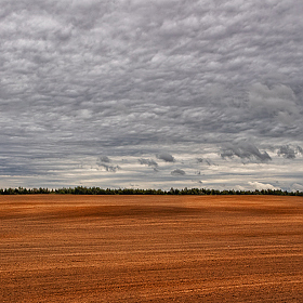 Про рыжее поле и небо | Фотограф Сергей Шабуневич | foto.by фото.бай
