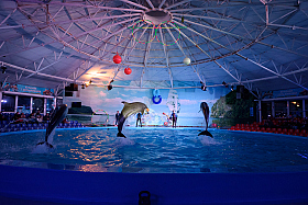 Работа фотографа Сергей Тарасов