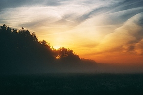 Летним утром | Фотограф Артур Язубец | foto.by фото.бай