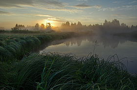 Рассвет у лесного озера | Фотограф Сергей Шляга | foto.by фото.бай