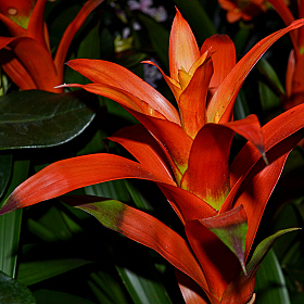 *** | Фотограф Andrei Savitsky | foto.by фото.бай