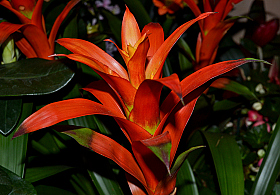 *** | foto.by фото.бай