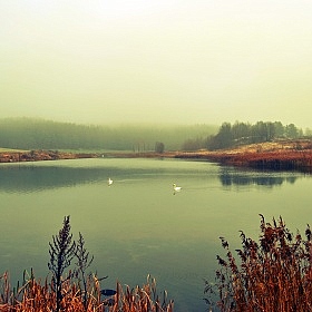 фотограф Константин Ковалев. Фотография "Осень в тумане"